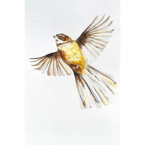 Watercolour Flow - Little Art School - Term 4 2025