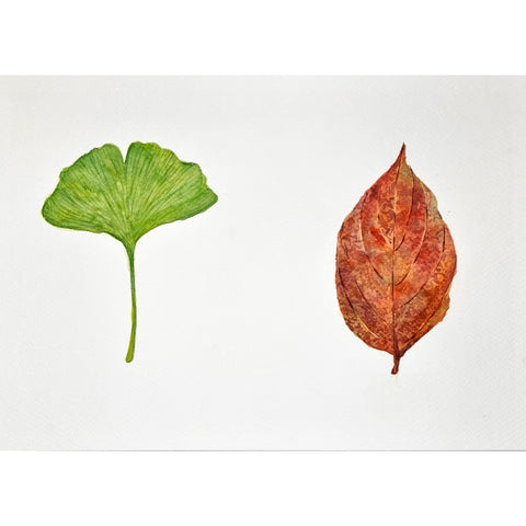 Watercolour Flow - Little Art School - Term 4 2025