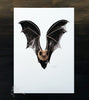 Long Tailed Bat / Pekapeka - an open edition Nocturne Print
