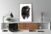 Bison - an open edition fine art print