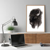 Bison - an open edition fine art print