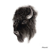 Bison - an open edition fine art print