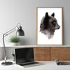 Bear - an open edition fine art print