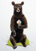 Black Bear - Limited Edition