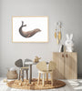 Kekeno / NZ Fur Seal - an open edition fine art print