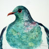 Kereru / Woodpigeon