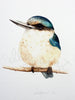 Kotare / Kingfisher