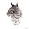 Lynx - an open edition fine art print