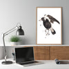 Magpie - a limited edition Dark Beastie print