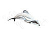 Maui Dolphin