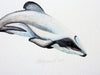 Maui Dolphin