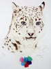 Snow Leopard - limited edition