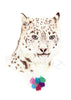 Snow Leopard - limited edition