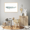 Tohora / Bryde's Whale - an open edition fine art print