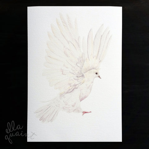 Dove in white - an open edition fine art print