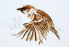 Flying Sparrow