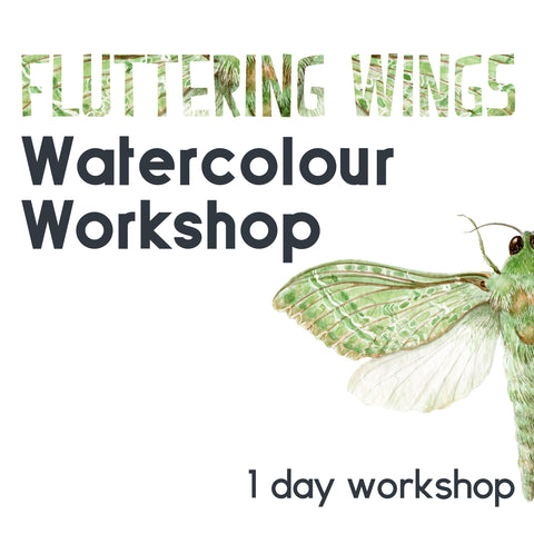 Fluttering Wings - a Little Art School 1 day Watercolour Workshop