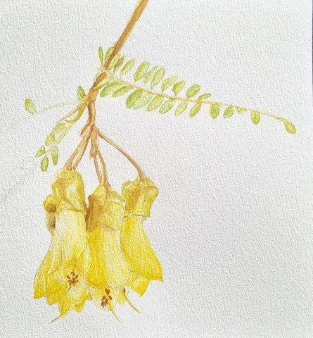 Botanical Watercolour - a Little Art School 1 day Watercolour Workshop