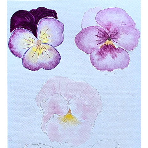 Watercolour Elements - Little Art School - Term 4 2025