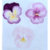 Watercolour Elements - Little Art School - Term 4 2025