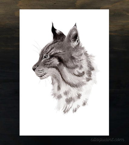 Lynx - an open edition fine art print