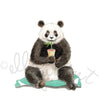 Panda Bear - Limited Edition