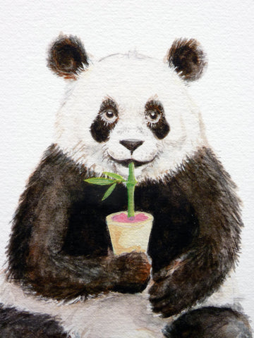 Panda Bear - Limited Edition