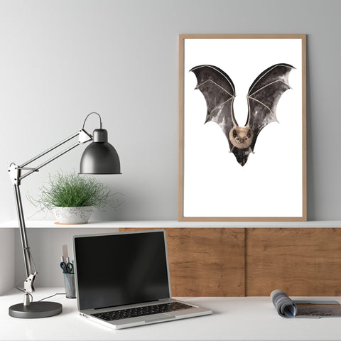 Long Tailed Bat / Pekapeka - an open edition Nocturne Print