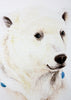 Polar Bear - limited edition