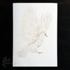Dove in white - an open edition fine art print