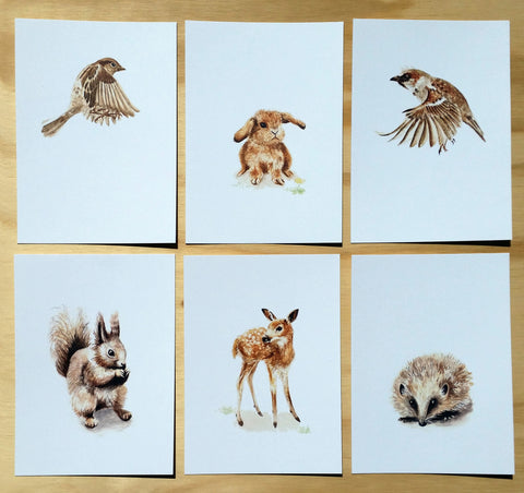 Mixed Woodland Creatures -  Postcards